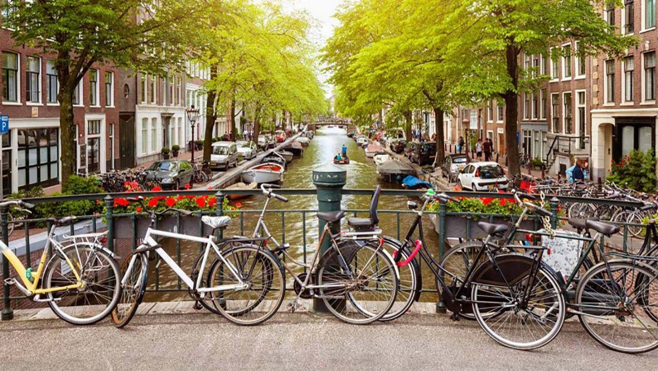 Cycles on bridge