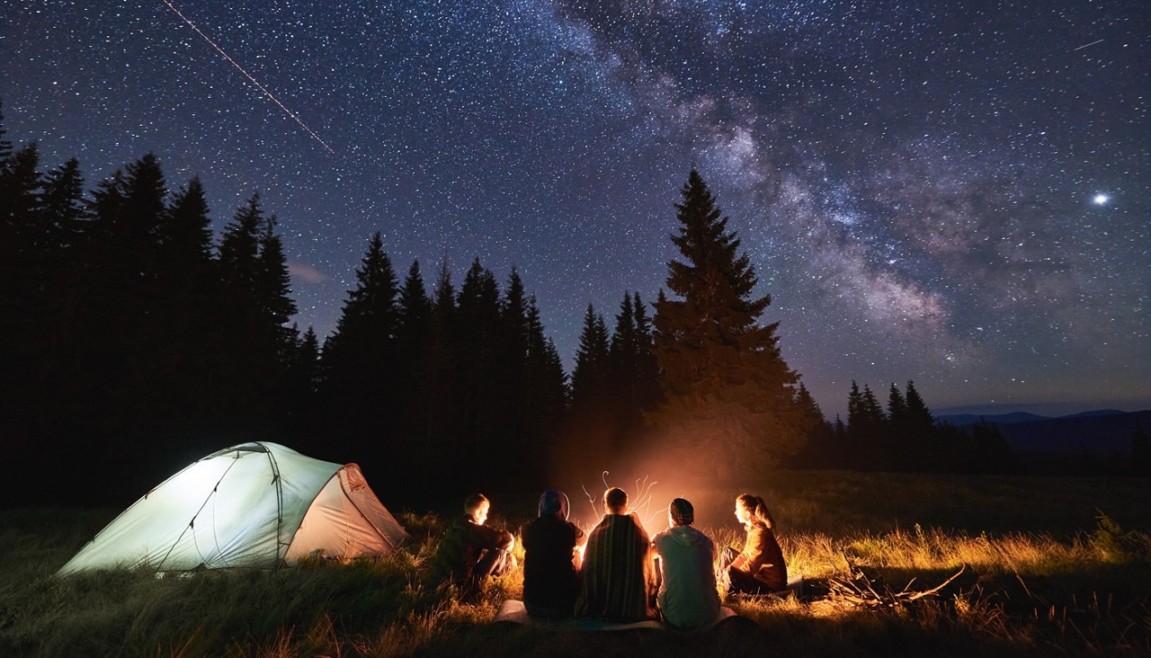 Campers sitting around bonfire in night forest.
