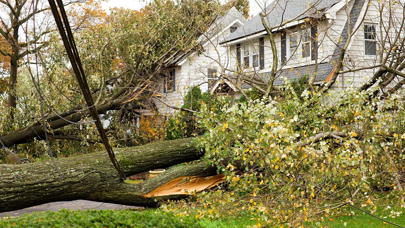 Severe Weather Safety Tips: What To Watch For After a Storm
