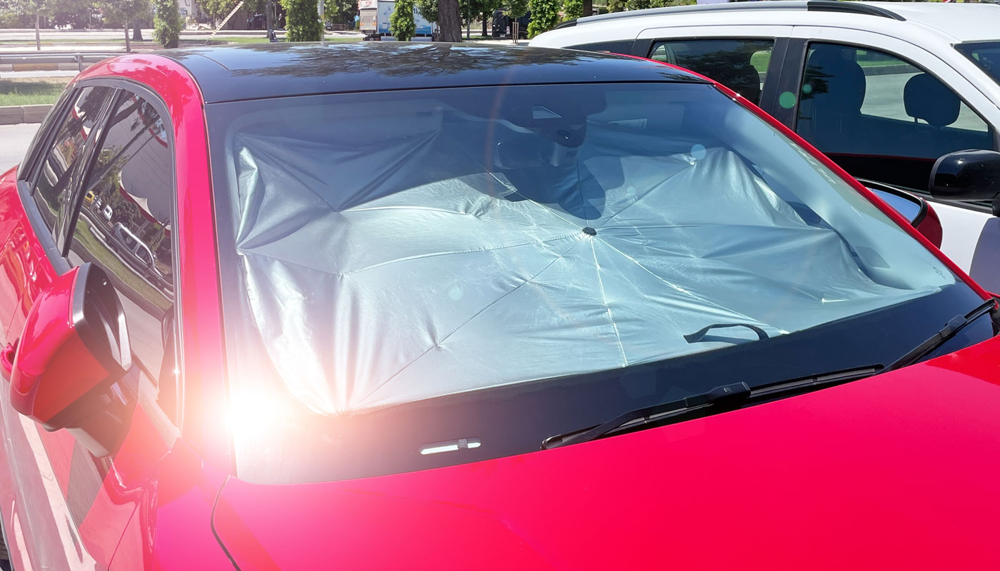 How to Protect Your Car from Weather and Animal Damage